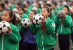 足球报：全国注册足球教练12.6万人，但精英青训教练缺口愈发明显