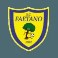 费坦奴