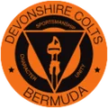德文郡小马队
