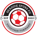 海滨刺队